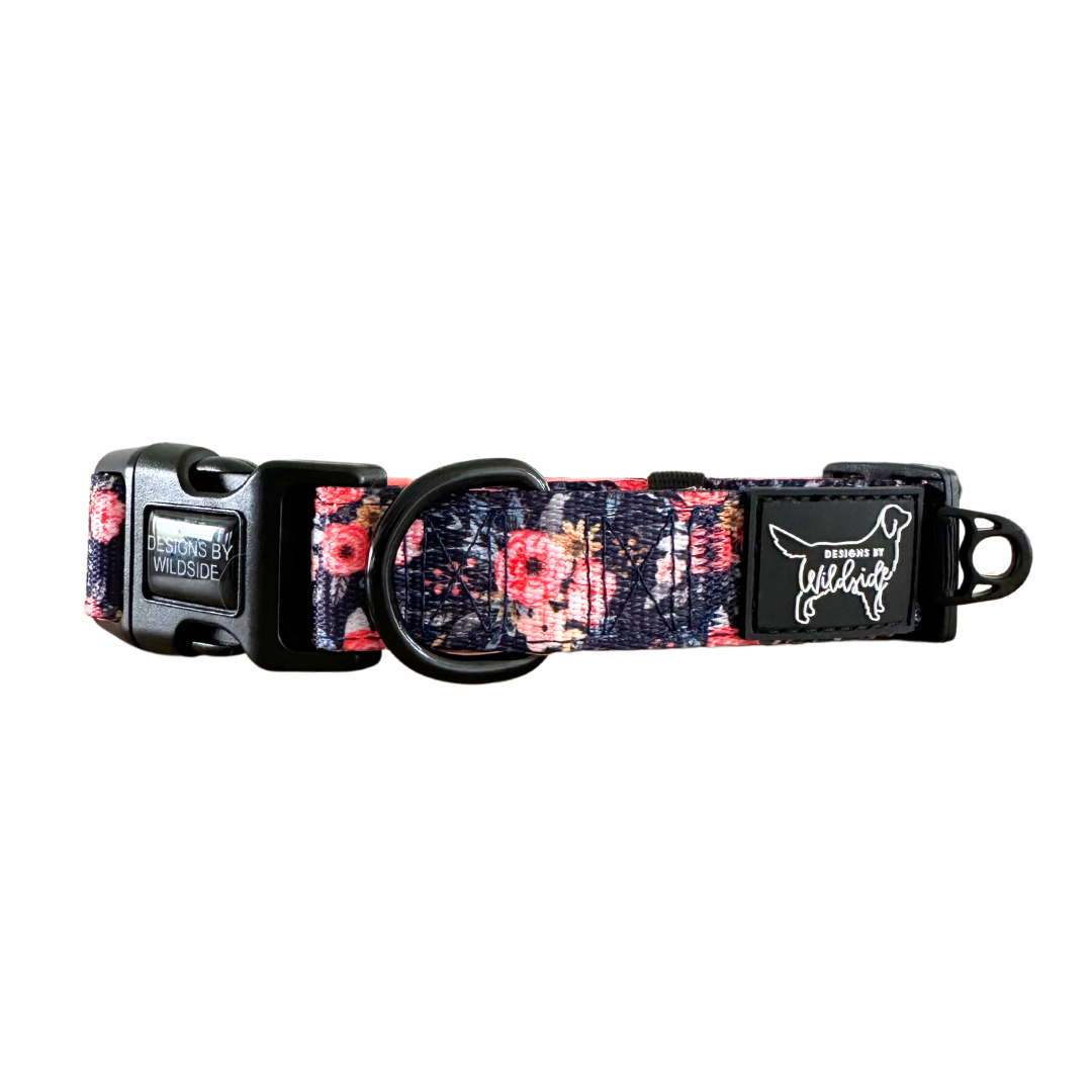 Padded dog collars top