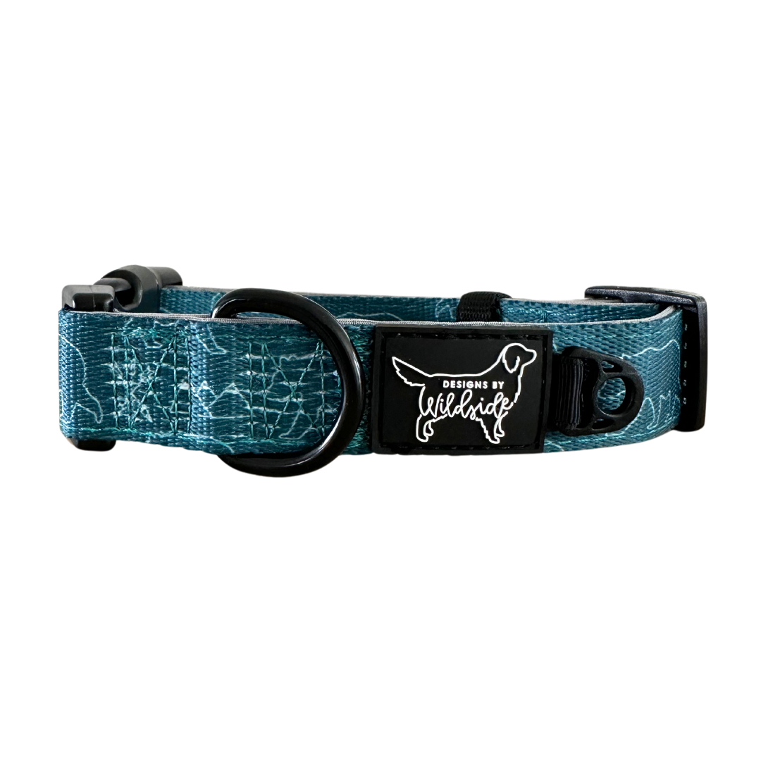 Small boy dog collars on sale