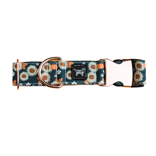 Sunflower Pumpkin Patch Rust Proof Dog Collar