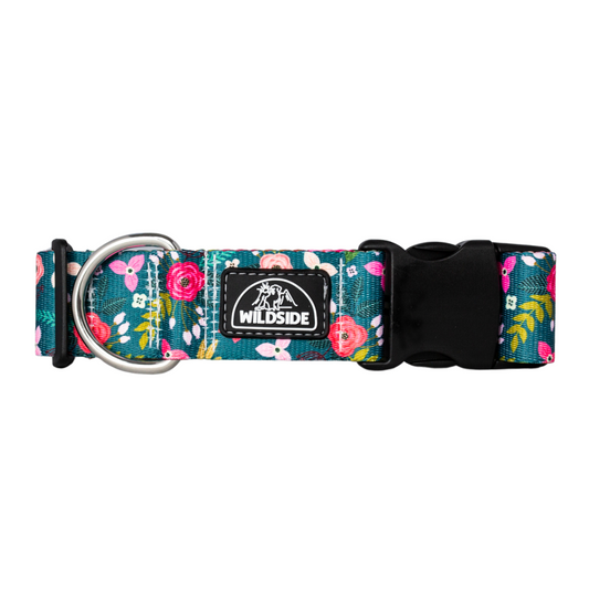 Evergreen Flora dog collar with teal background and pink florals
