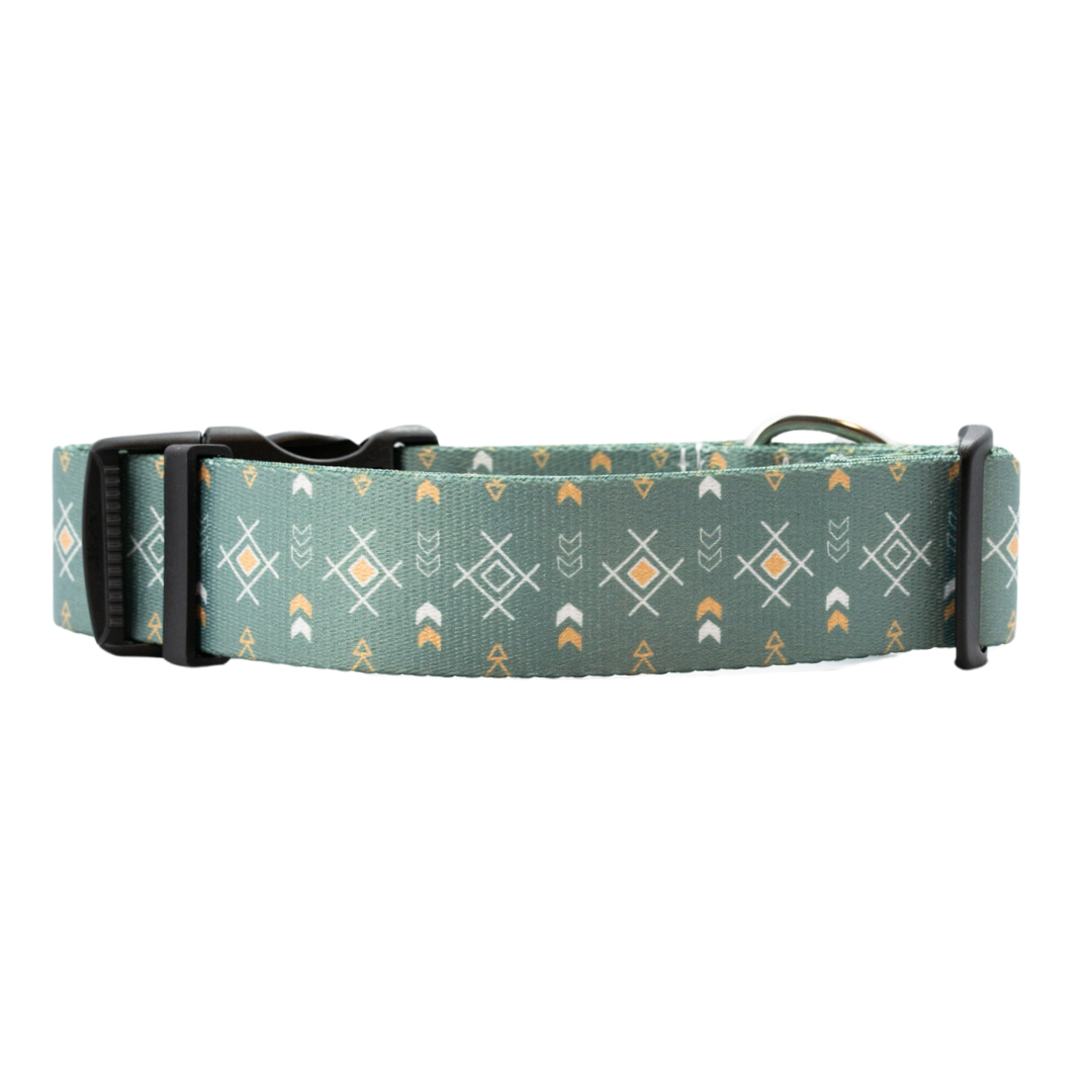 Sage Sunset Rust Proof Dog Collar Dog Collar