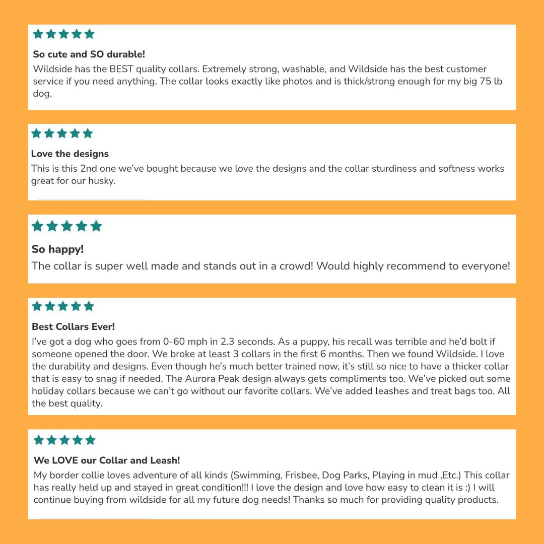 Product reviews for Wildside dog collars on a yellow background