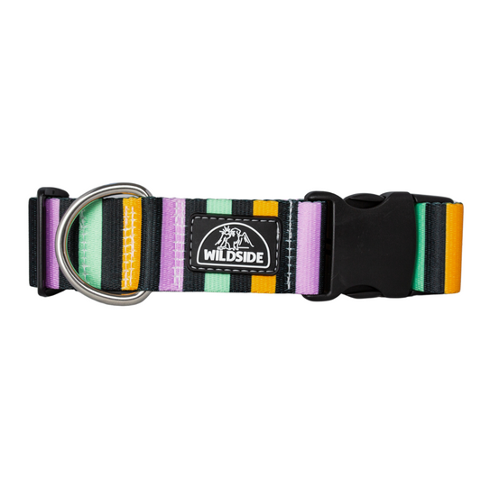 Witches Brew Dog Collar with purple, green, gold & black stripes. Durable, rust-proof hardware & lightweight buckle for festive fall adventures.