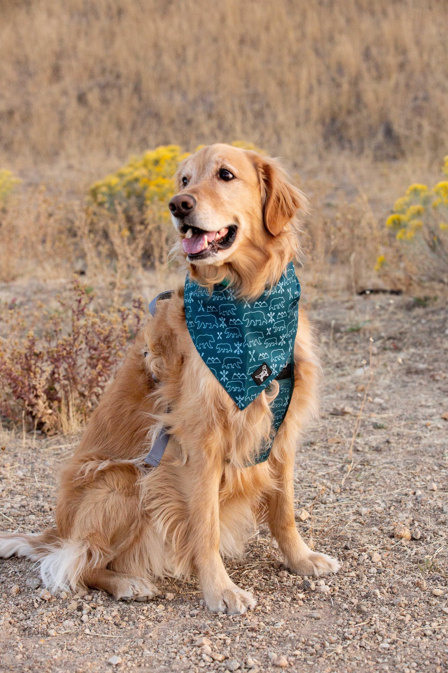Summit Adventure Bandana ( reversible bandana) - Designs By Wildside