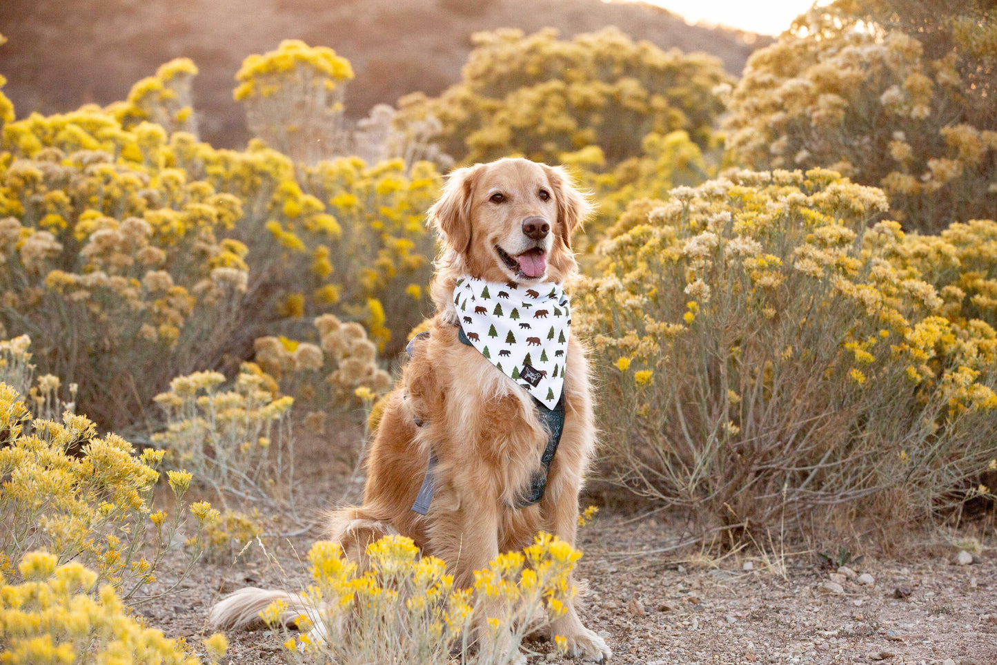 Summit Adventure Bandana ( reversible bandana) - Designs By Wildside