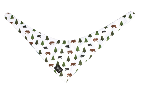 Summit Adventure Bandana ( reversible bandana) - Designs By Wildside