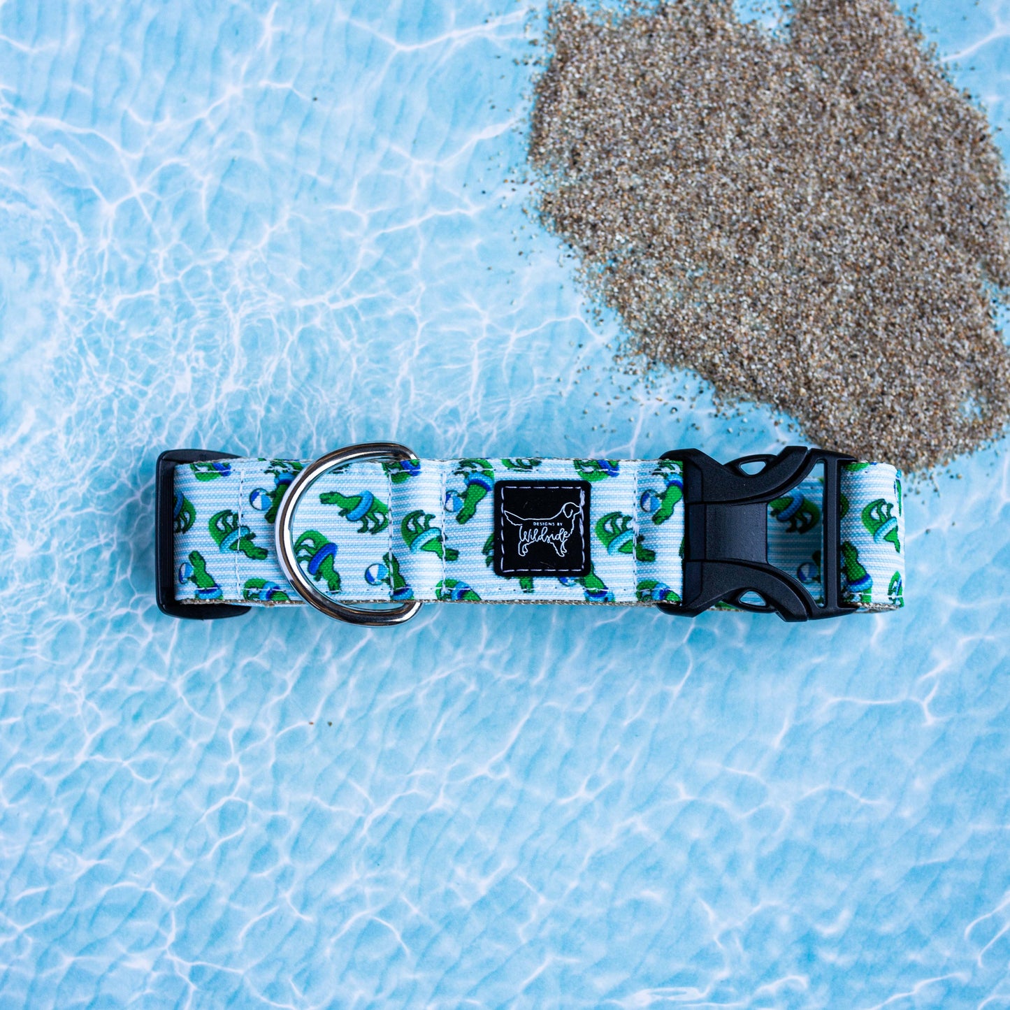 Dino Pool Pawty- Eco Canvas Collar
