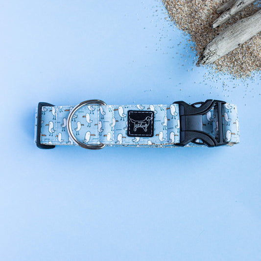 OMG Seagulls Adventure Dog Collar