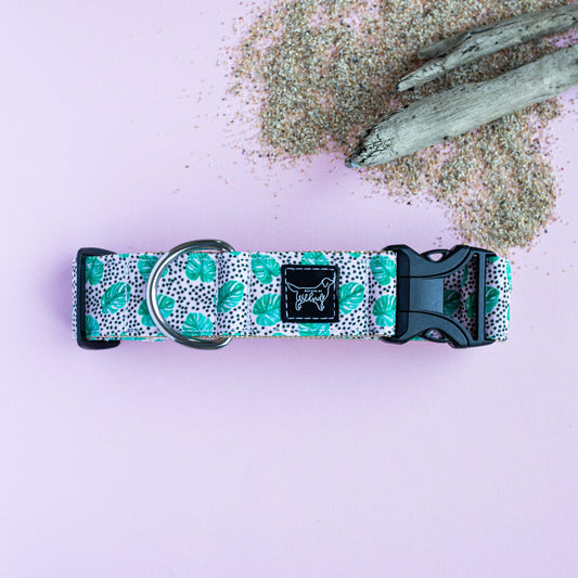 Dotty Monstera Lightweight Rust Proof Dog Collar