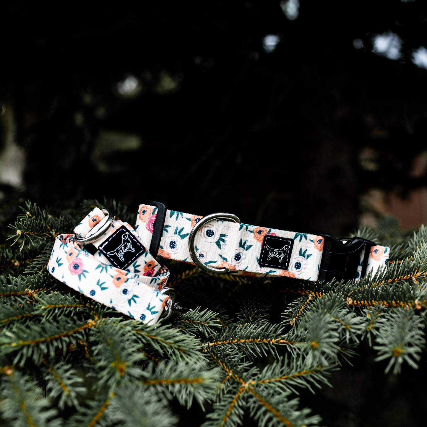 Cream Rosa Rust Proof Dog Collar