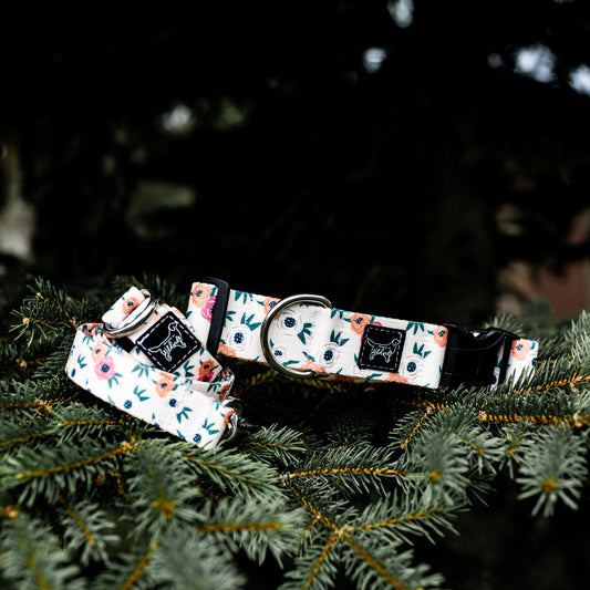 Cream Rosa Rust Proof Dog Collar