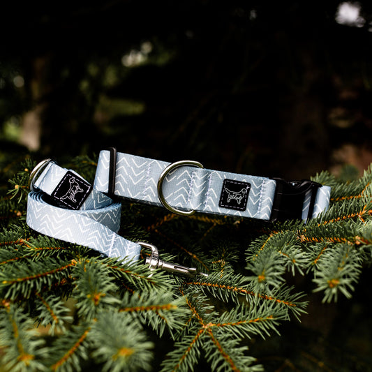 Dusty Blue Rust Proof Dog Collar