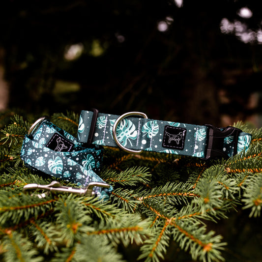 Variegated Monstera Rust Proof Dog Collar