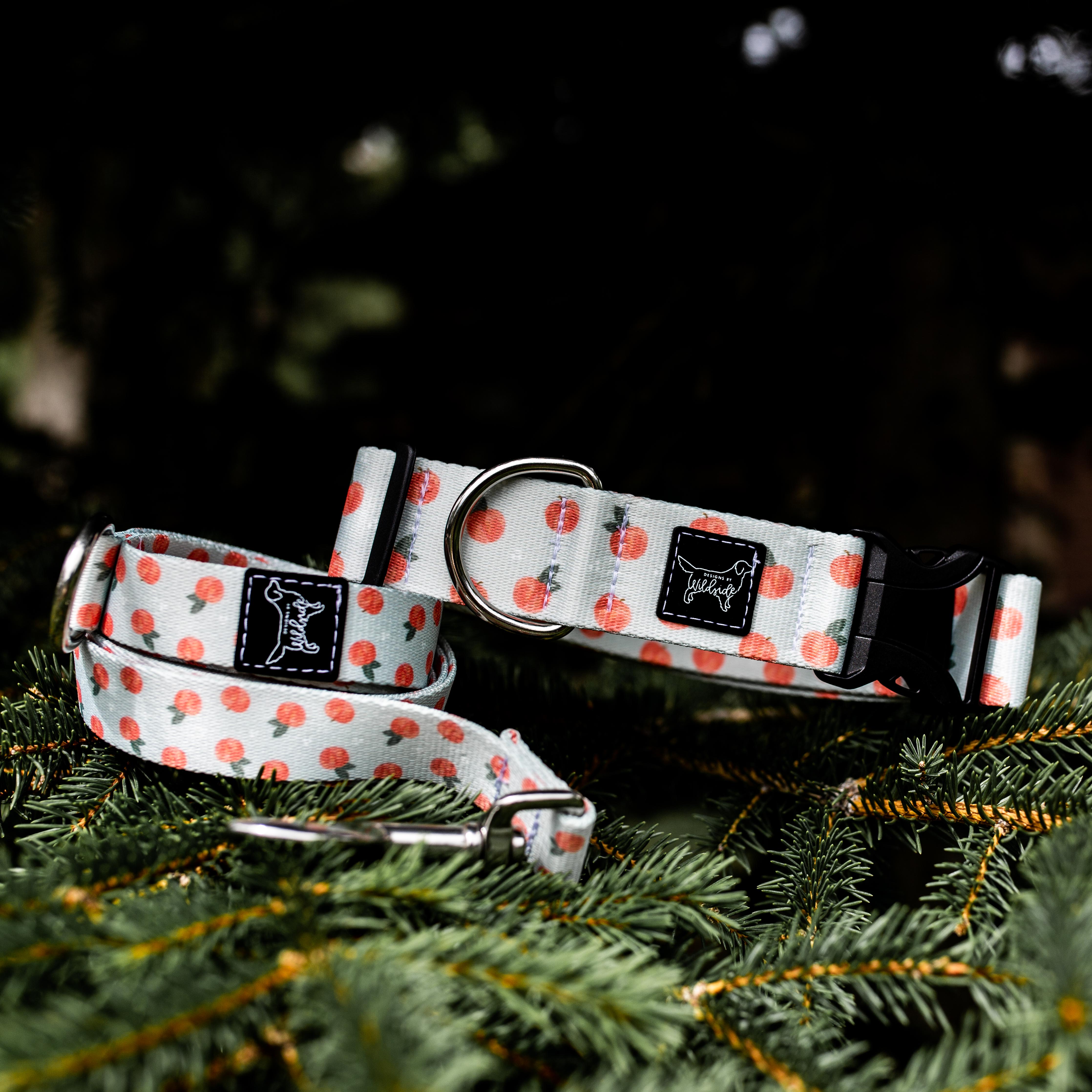 Just Peachy Water Resistant Dog Collar Designs By Wildside