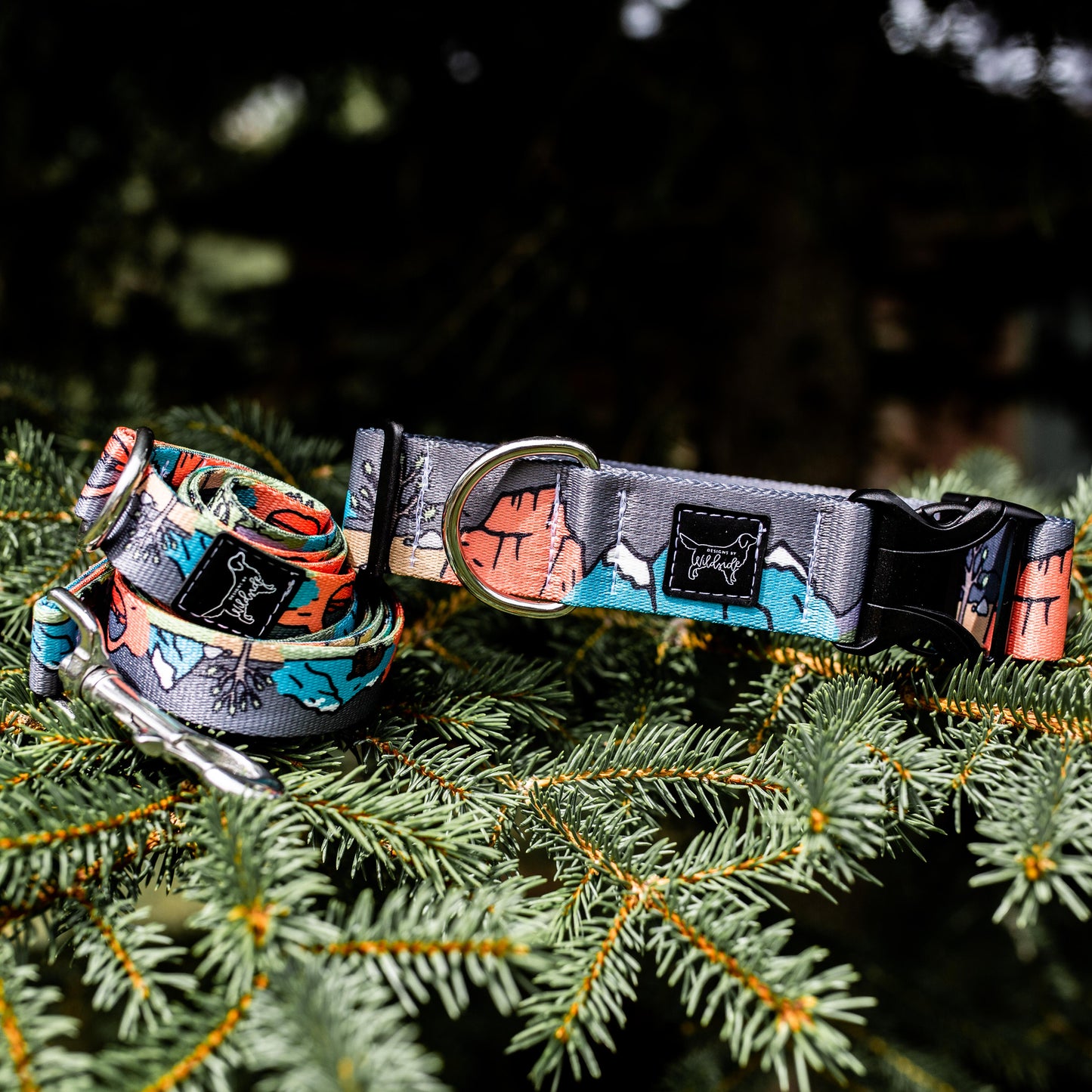 National Bark Water Resistant Dog Collar