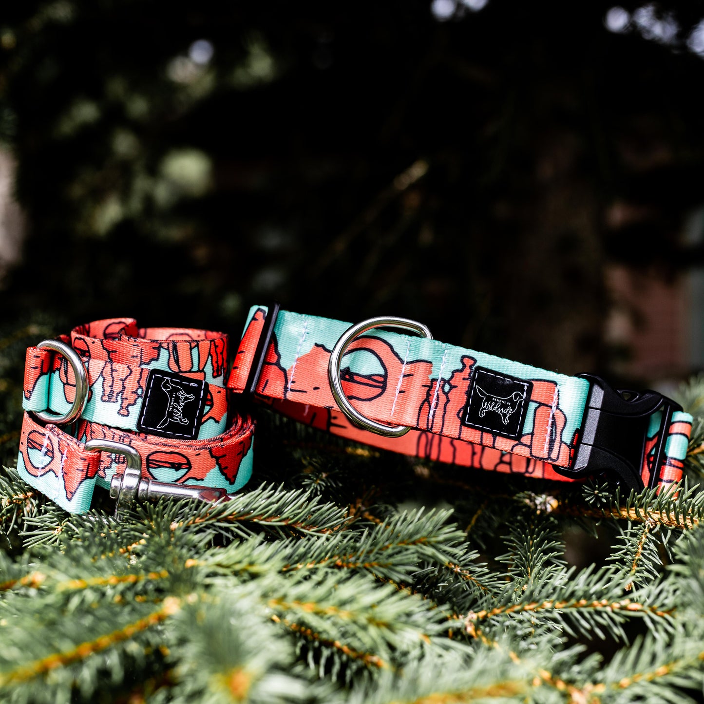 Wildside Dog Gear We love utah mint water resistant dog collar, Utah national parks dog friendly