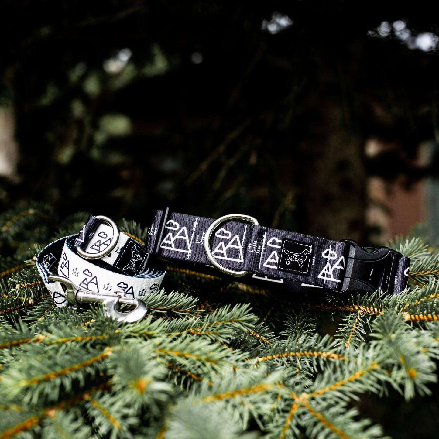 K2 Mountain Water Resistant Dog Collar (Black)