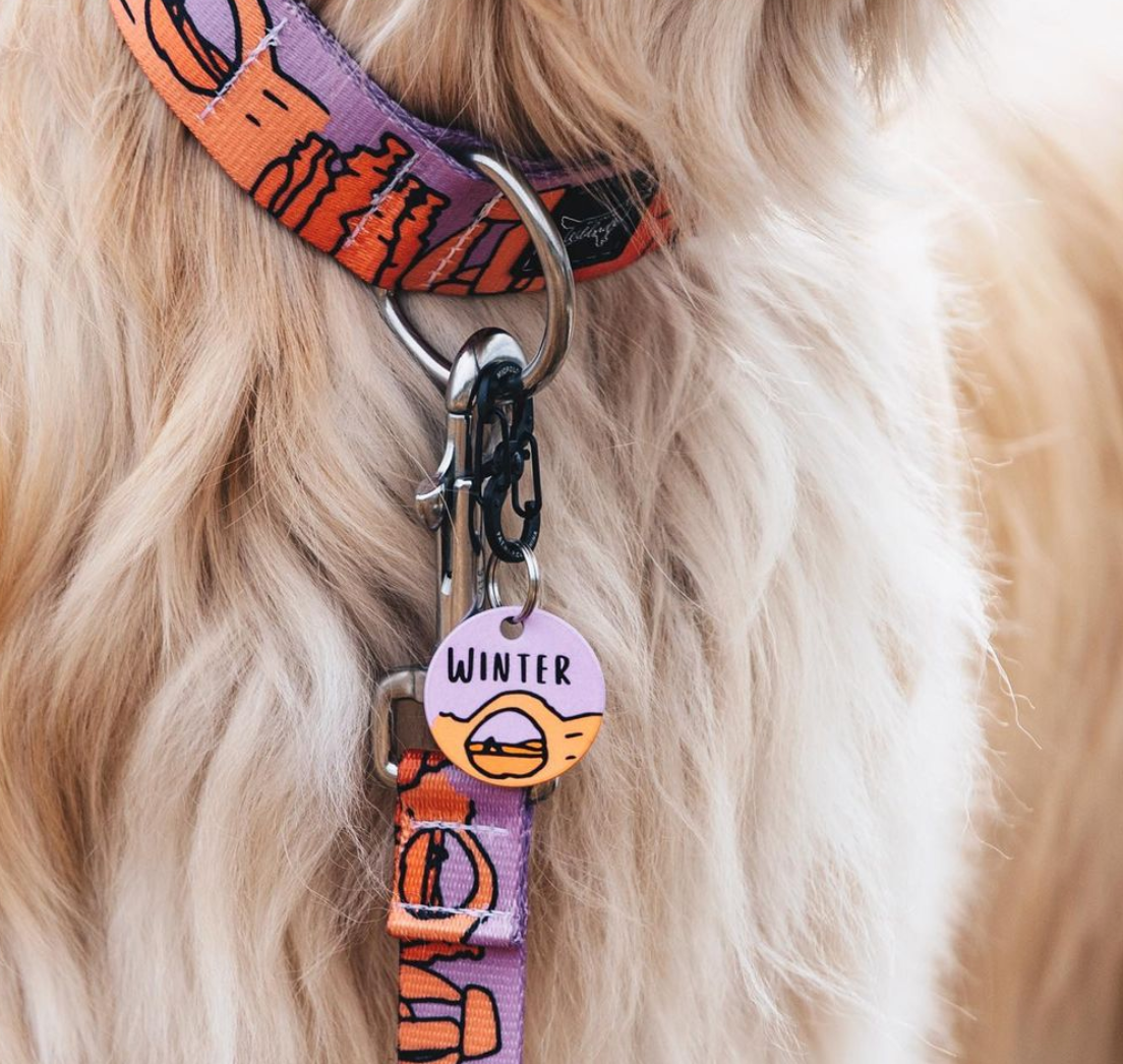 Teal Boba Dog ID Tag