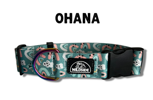 Ohana Water-Resistant Dog Collar