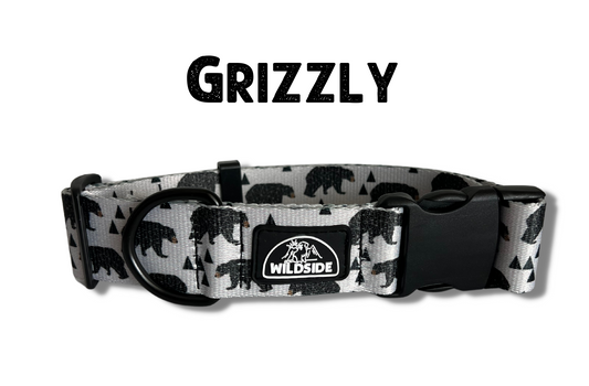 Grizzly Rust Proof Dog Collar