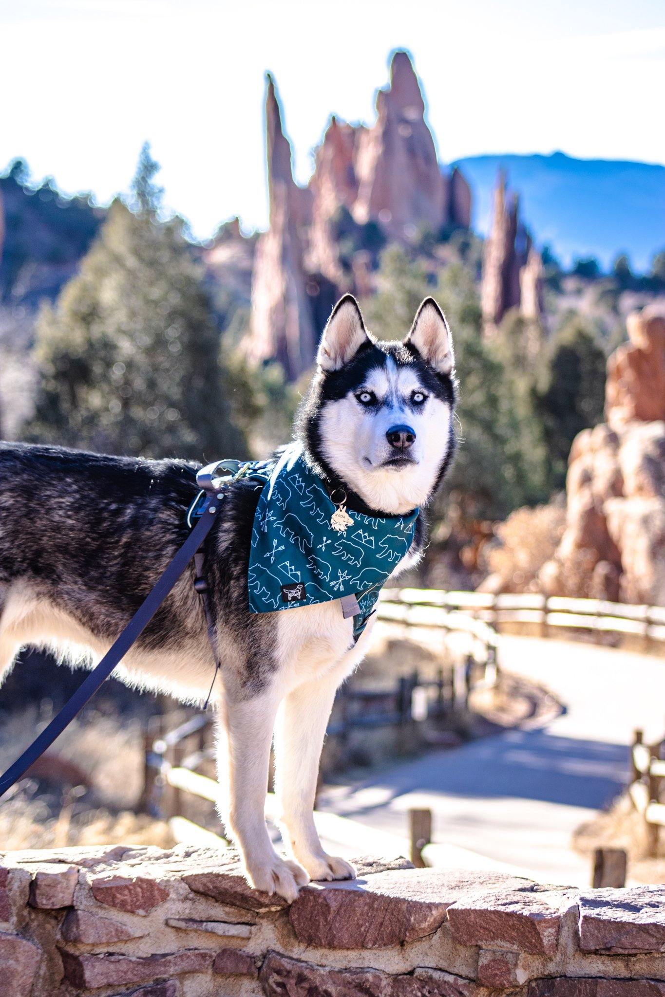 Summit Adventure Bandana ( reversible bandana) - Designs By Wildside