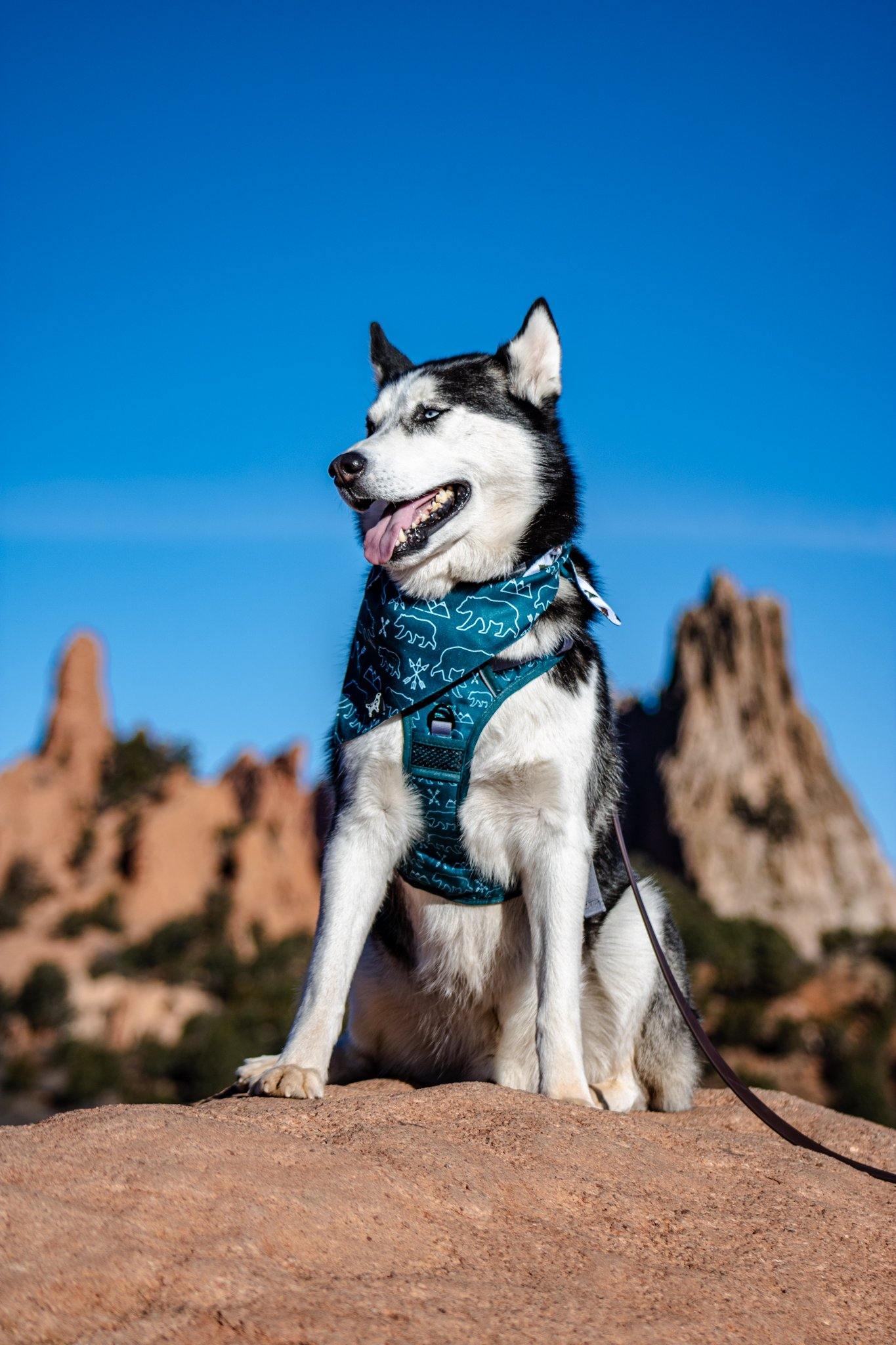 Summit Adventure Bandana ( reversible bandana) - Designs By Wildside