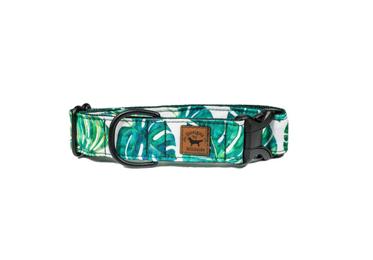 Monstera Eco-Canvas Collar - Designs By Wildside
