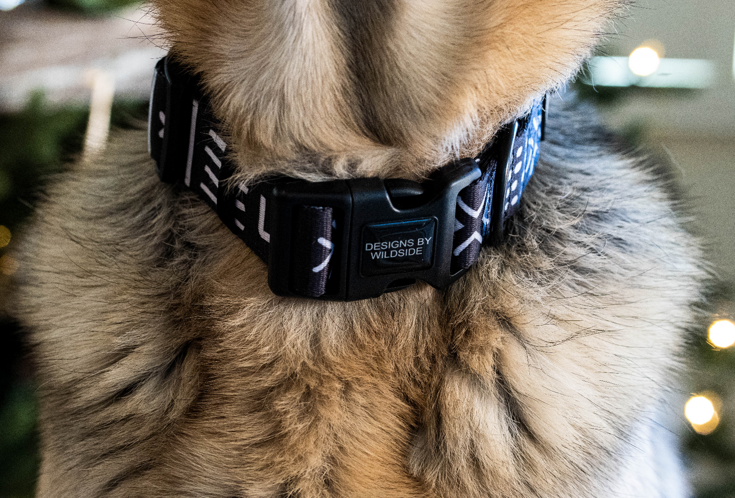 Luna Collar - Designs By Wildside