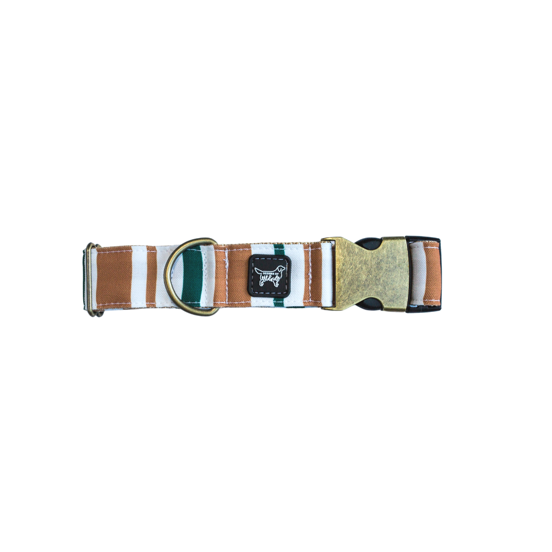 Fall Desert Eco-Canvas Collar