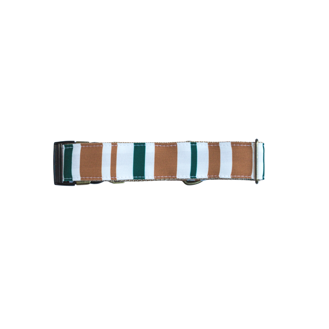 Fall Desert Eco-Canvas Collar
