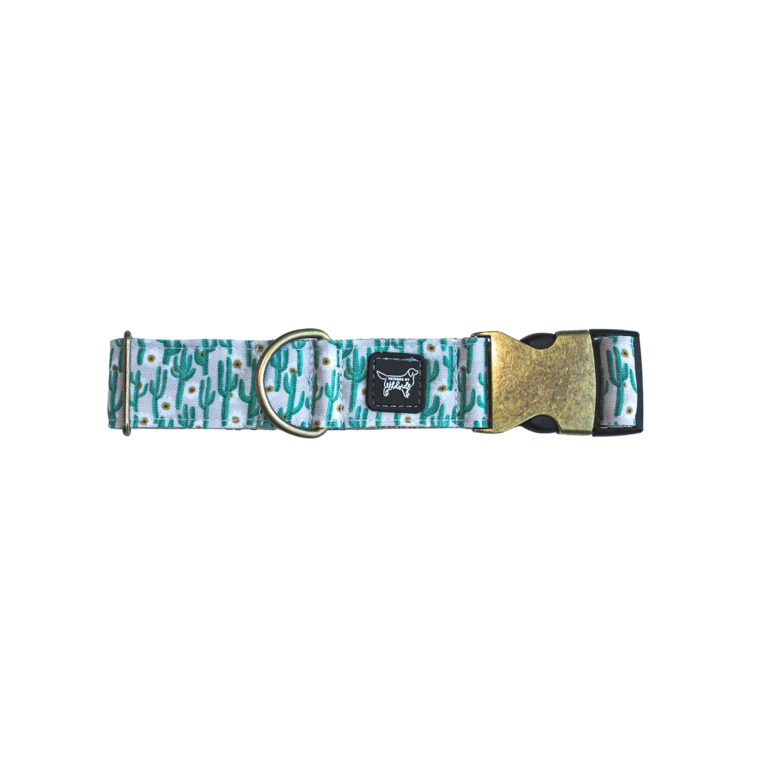 Desert Cacti Floral Eco-Canvas Dog Collar