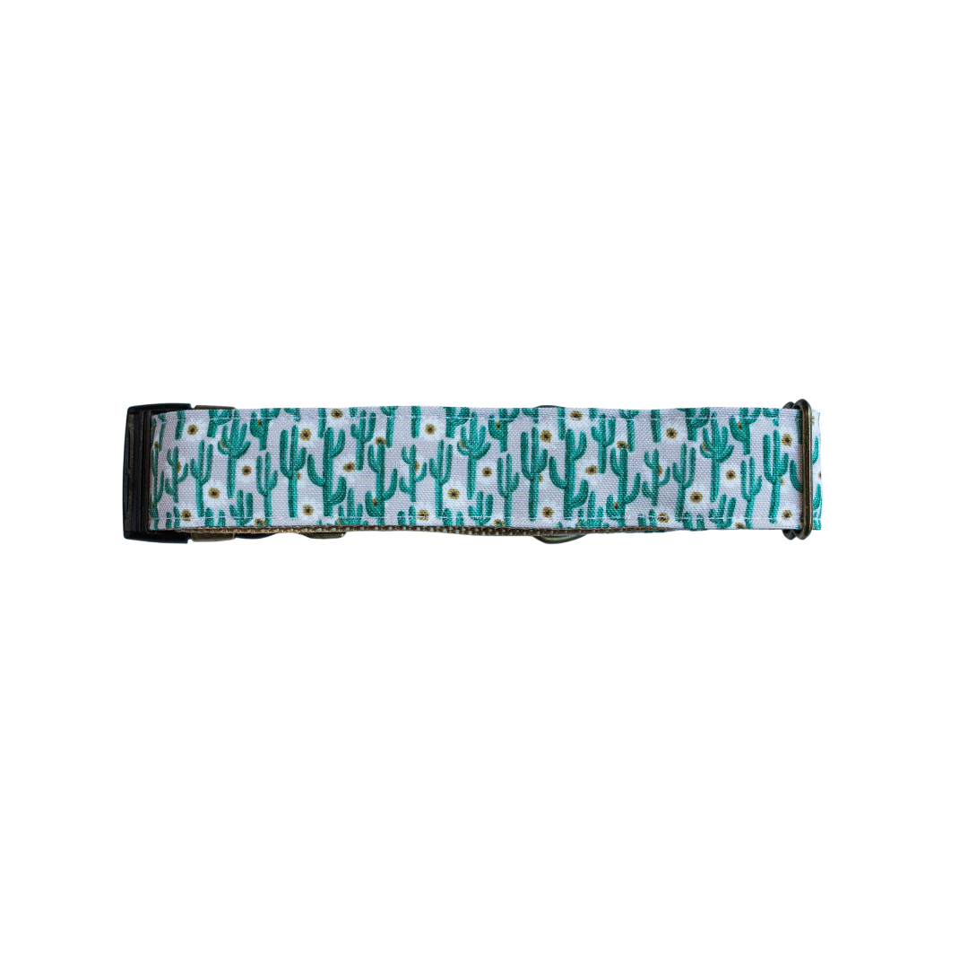 Desert Cacti Floral Eco-Canvas Dog Collar