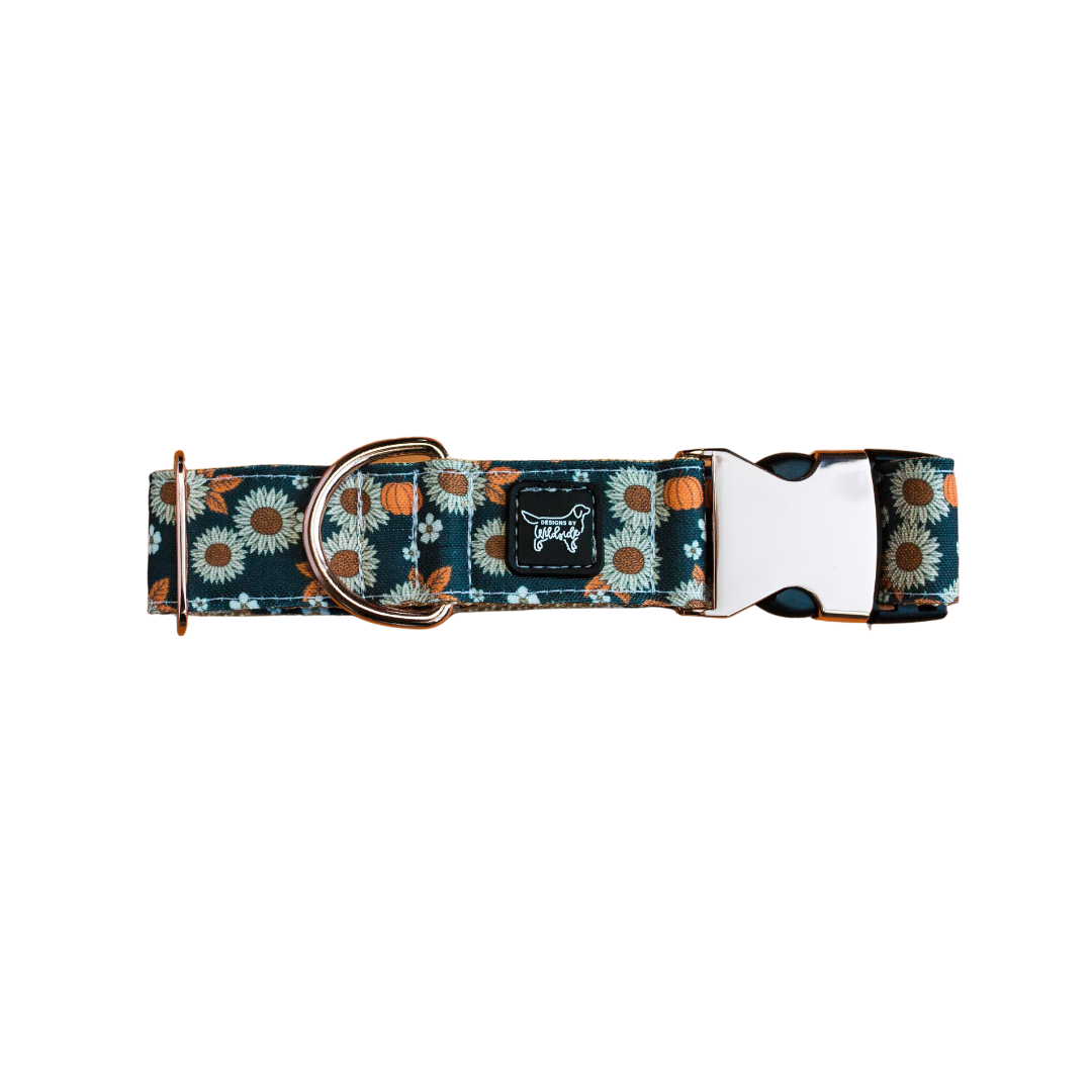 Sunflower Pumpkin Patch Eco-Canvas Dog Collar (navy)