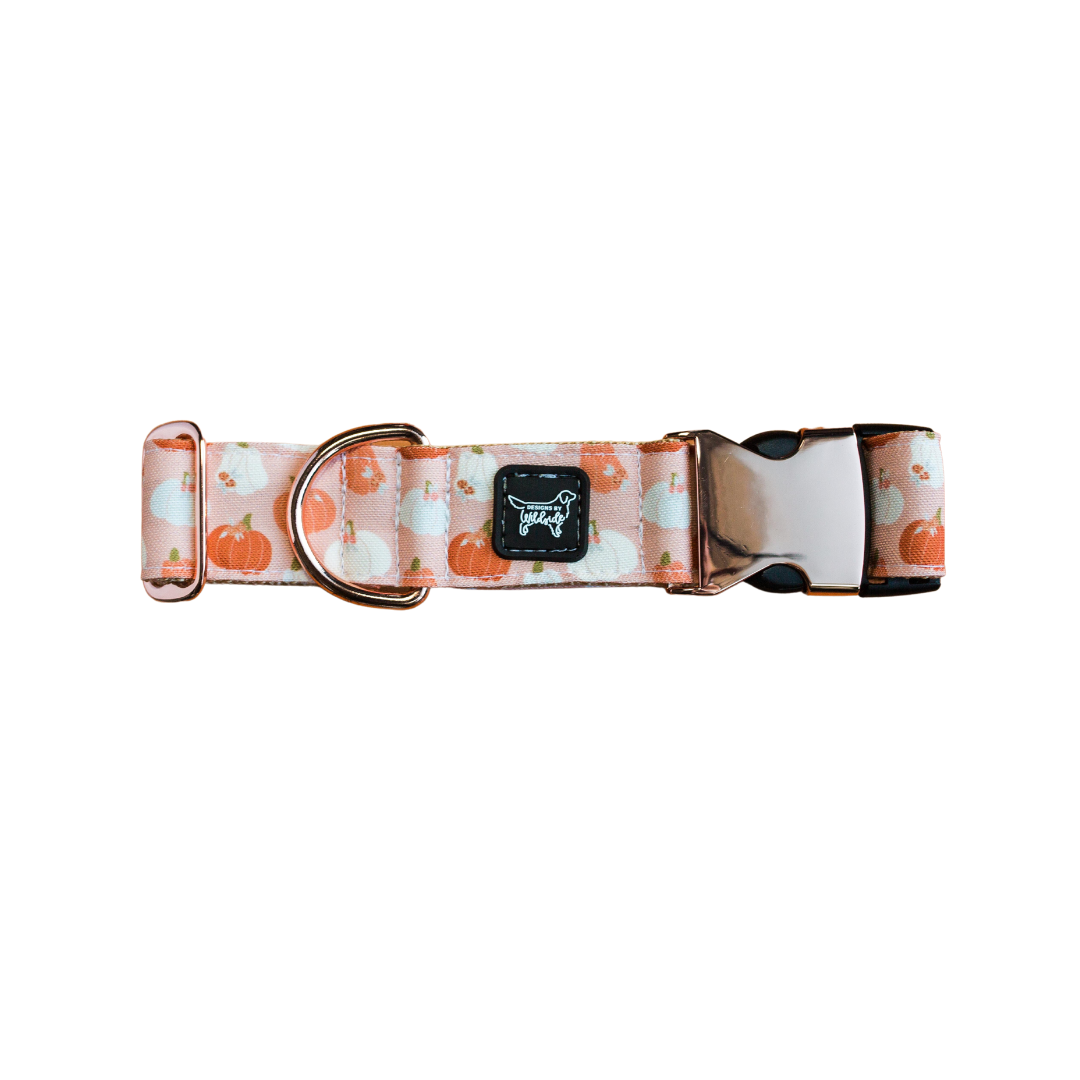Pumpkin Floral Eco-Canvas Dog Collar