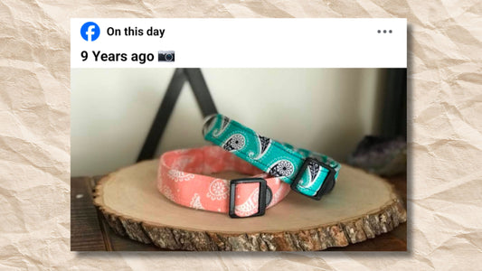 What Makes a Good Handmade Dog Collar? 5 Things to Look For