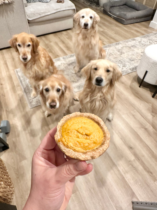 Dog Friendly Pumpkin Pie Recipe ( no oats or peanut butter)