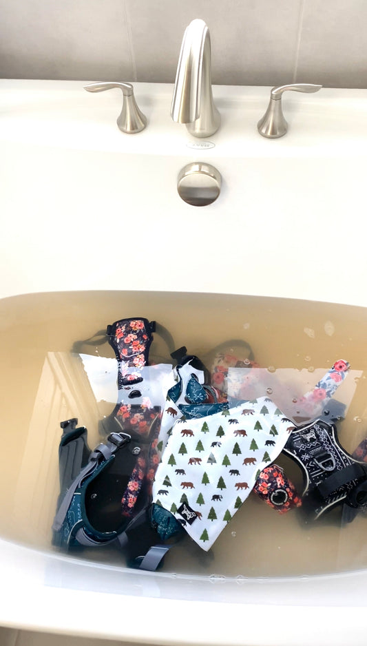 Keeping It Clean: How to Wash Your Dog Gear