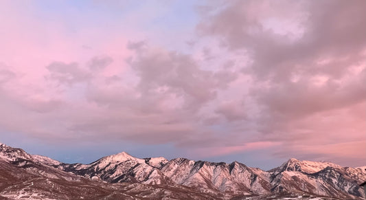 The Inspiration Behind Mt. Millicent Water Resistant Dog Collar