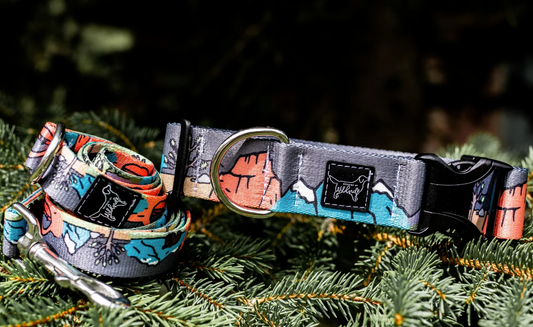 dog collar of national parks like utah, moab, dog friendly national parks and traveling with dogs