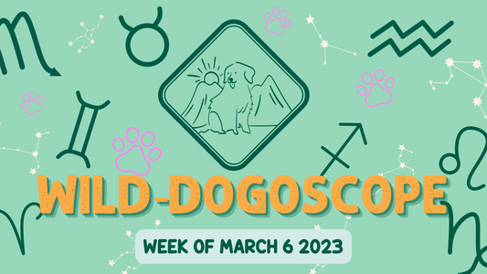 Weekly Dog Horoscope Blog - Discover what the stars have in store for your furry friend