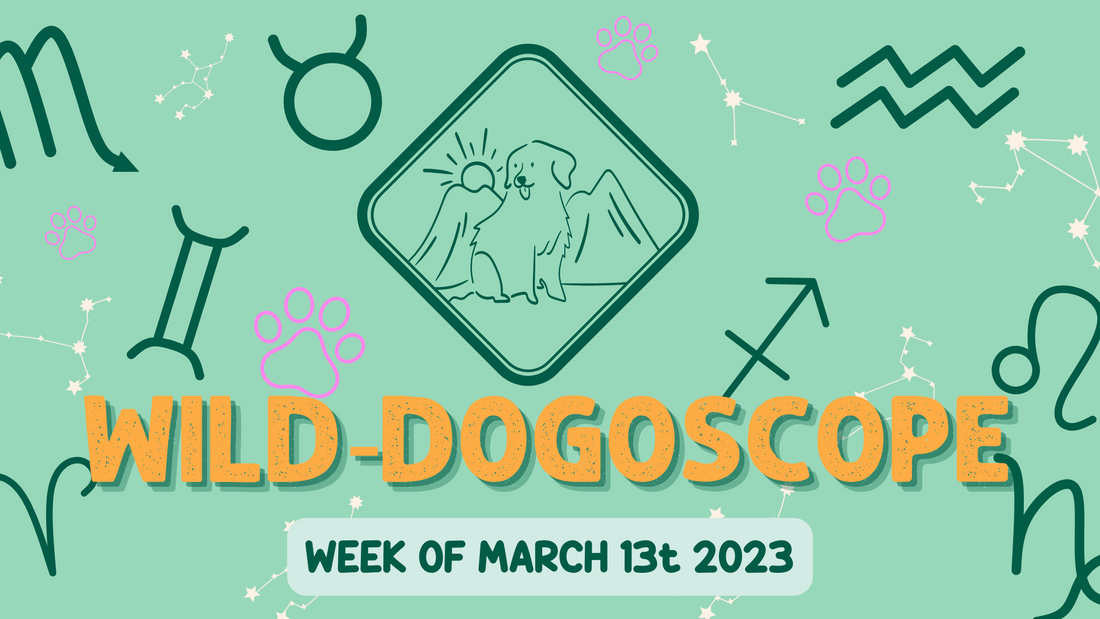 Wild-Dogoscope: Week of March 13th, 2023