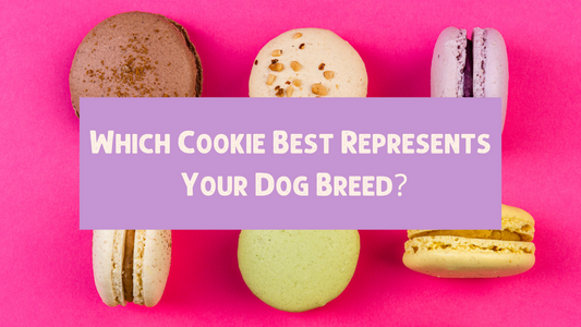 Which Cookie Best Represents Your Dog Breed?