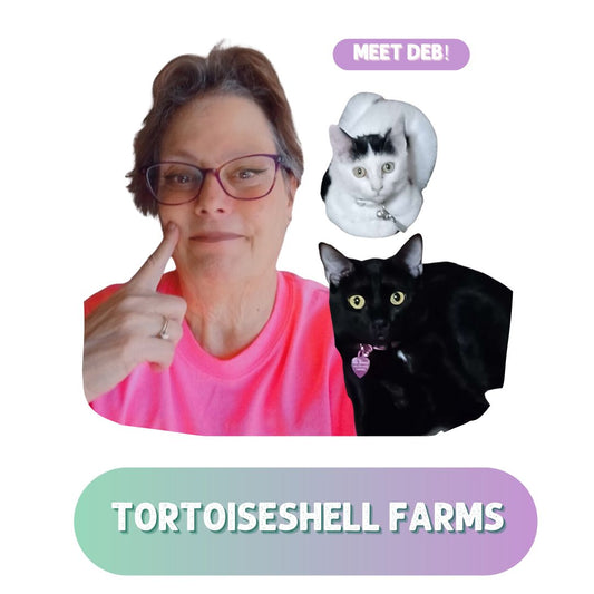 Small Biz Bestie: Meet Deb of Tortoiseshell Farm - Natural body products for cruelty free lovers