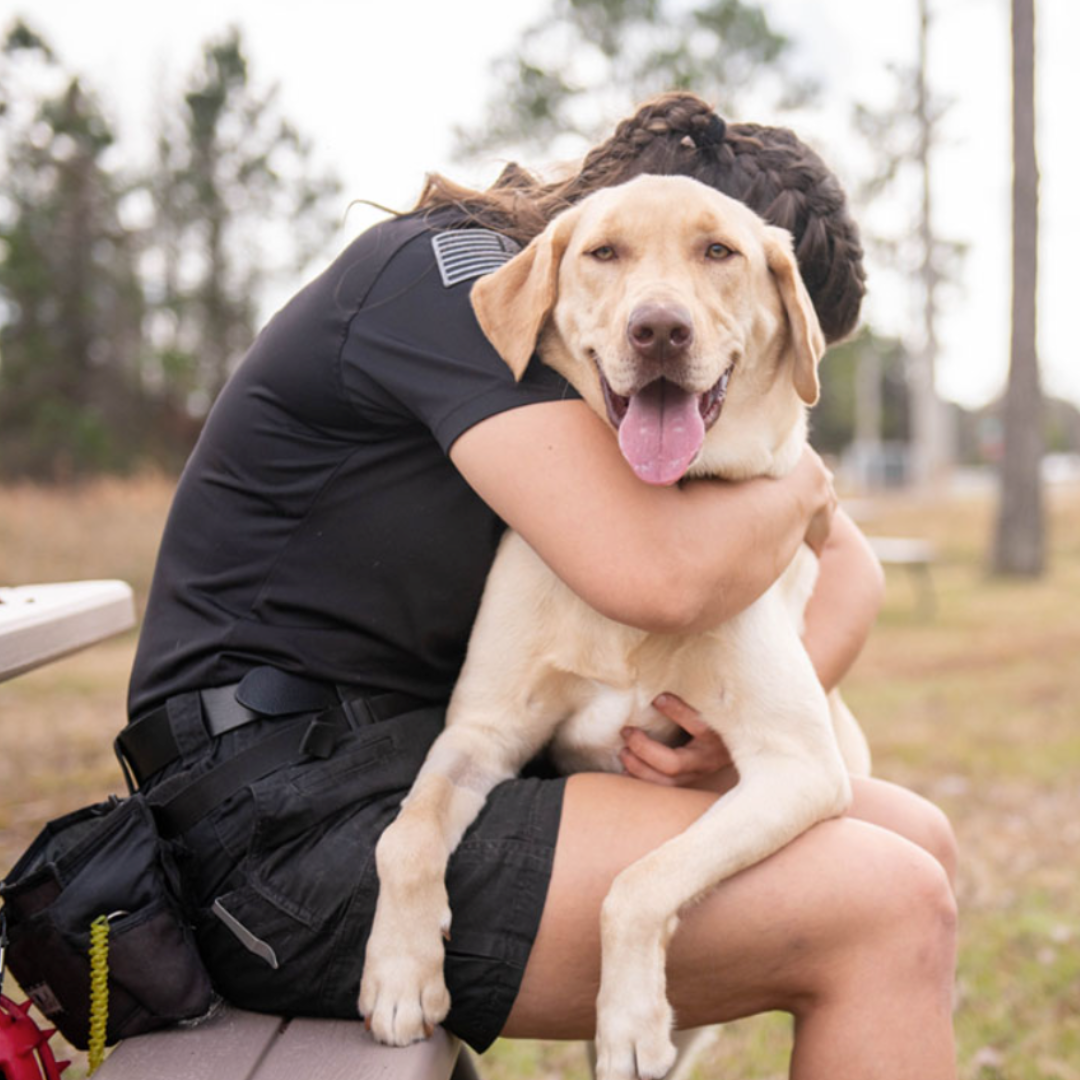 Celebrating Heroes: 10 Heartwarming Tales of Service Dogs and Their Supporting Foundations