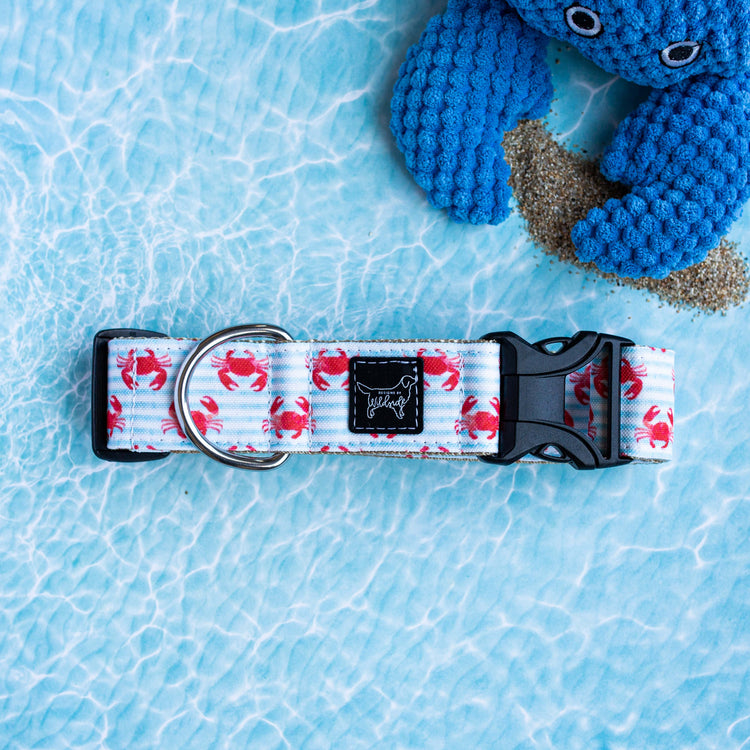 Best Adventure Dog Collars
