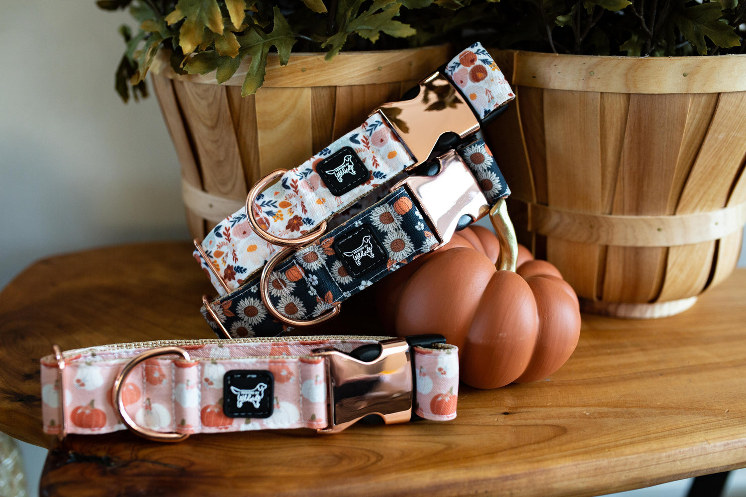 Fall & Halloween Dog Collars