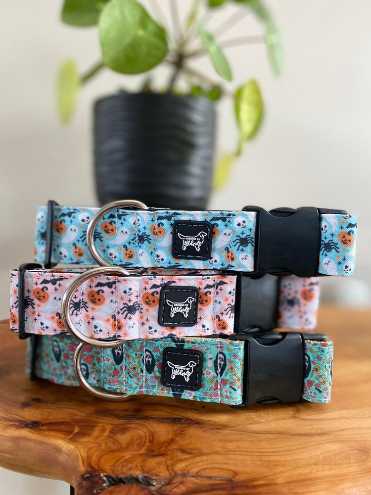Spooky & Spice Collection