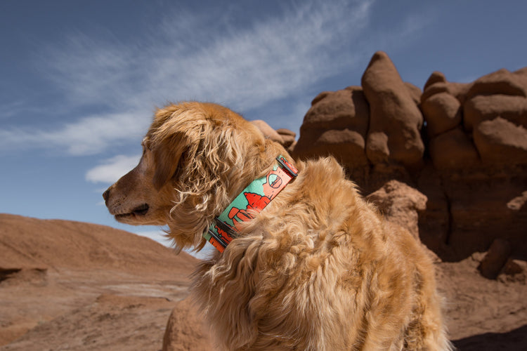 National Park Collection