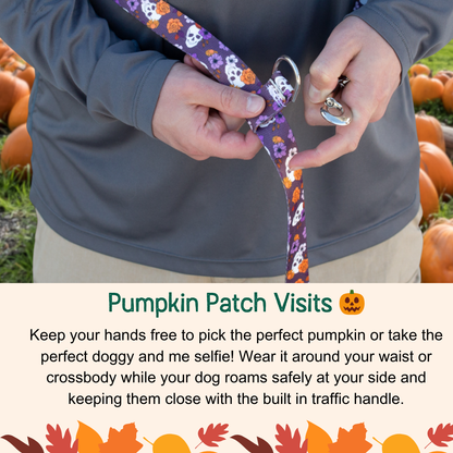 Best Hands-Free Leash with Traffic Handle