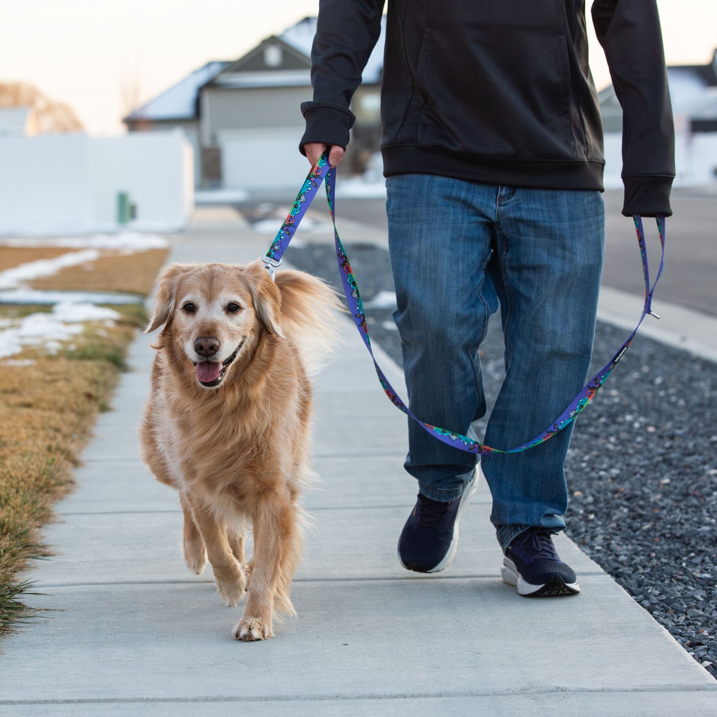 National Barkie Dog Leash with Traffic Handle - 6 Ft Rust Proof Adventure Leash
